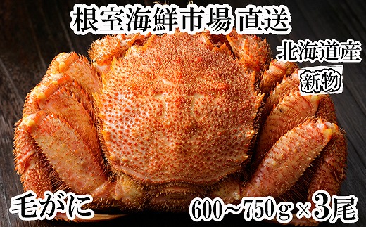 
                  D-28062 根室海鮮市場<直送>ボイル毛がに600～750g×3尾
                