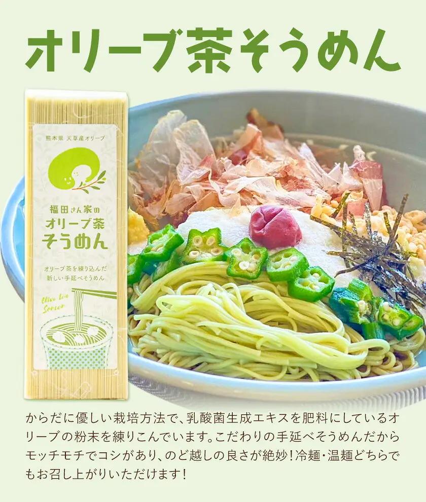 オリーブ 茶 パスタ そうめん 20袋 セット 福田さん家のオリーブ園。《30日以内に出荷予定(土日祝除く)》