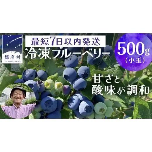 【 最短 7日以内 発送 】 冷凍 ブルーベリー 小玉 500g	【 化学肥料 農薬 使わずに栽培 】 数量限定 小粒 国産 フルーツ スムージー 果物 くだもの 農家直送 スイーツ アイス ノーザンハイブッシュ系 ミックス [AT014tu]