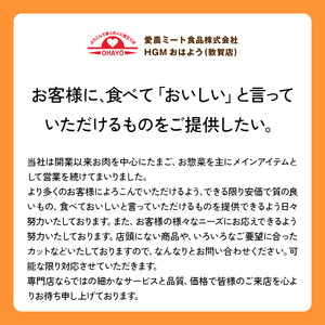 味カツ 9枚セット 特製ソース付 [002-a011]