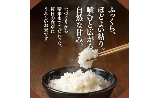令和8年度 新米 コシヒカリ 精米 5kg 農家直送 | コシヒカリ こしひかり 米 お米 おこめ こめ 白米  ごはん ご飯 厳選米 茨城県産 こしひかり 産地直送 国産 冷めてもおいしい 美味しい