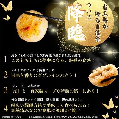 ふるさと納税 木曽岬町 【3ヵ月毎定期便】もちもち皮のにんにく丸餃子(20個)×4袋計2.24kg|簡単おかず冷凍全4回 |  | 01