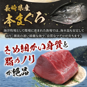 【訳あり】長崎県産本まぐろ贅沢盛り100g×3パック【B2-124】（本マグロ 本まぐろ 本鮪 鮪 マグロ 鷹島産 海鮮 まぐろ 漬け丼 魚介類 大トロ 中トロ 赤身 松浦 海鮮丼 丼 本格的 訳あり