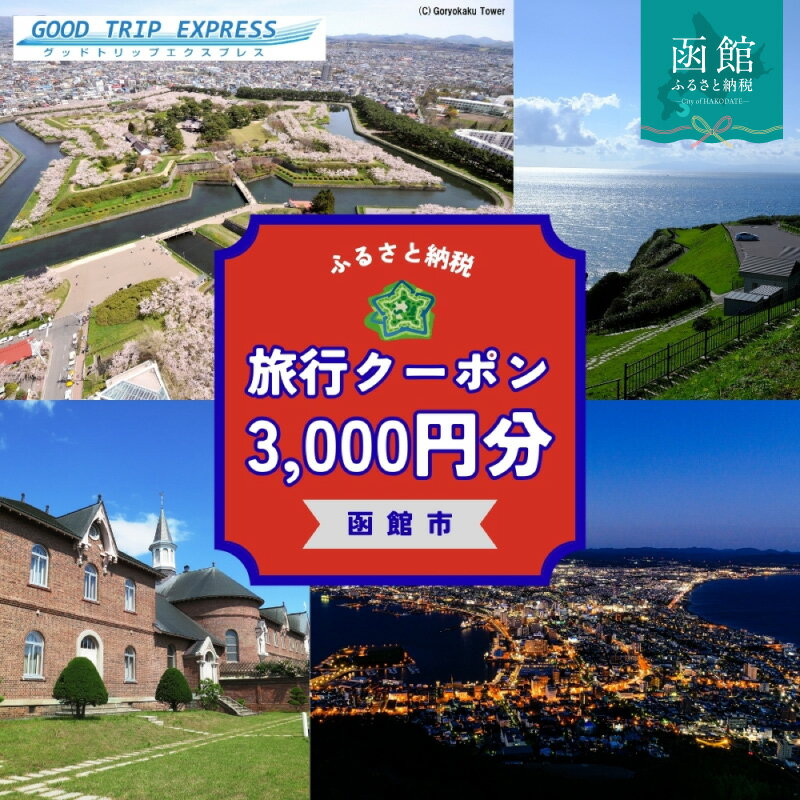 【ふるさと納税】北海道 函館市 函館市に泊まるふるさと納税旅行クーポン 3,000円分 クーポンコード 温泉 グルメ 夜景 観光 旅行 ホテル 旅館 トラベル チケット 家族 カップル 宿泊 予約 おすすめ 父の日 母の日 記念日 旅行券 宿泊券