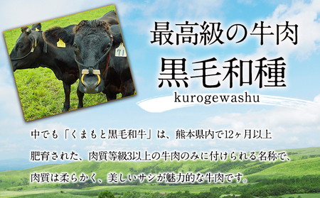 くまもと黒毛和牛 すき焼き用 1000g《90日以内に出荷予定(土日祝除く)》 南阿蘇食品---sms_fmaskwsk_90d_24_31000_1kg---