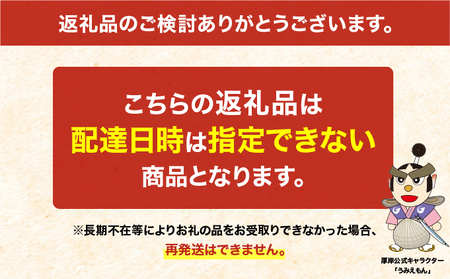 純厚岸産カキの復活！カキえもんスペシャル（生食用24個）