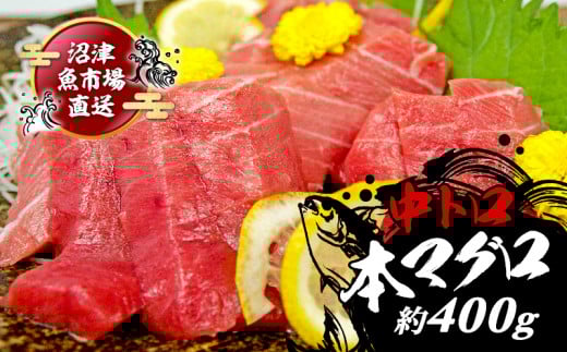 本マグロ 中とろ 400g 【2026年1月中旬以降順次発送】マグロ トロ 鮪 海鮮 晩酌 冷凍 刺し身 まぐろ さしみ 柵 皮付き 海鮮丼 人気 小分け 中トロ 刺身 お刺身 国産マグロ 漬け ネギトロ 産地直送 赤身 冷凍 生食用 静岡 沼津 コスパ 人気 まぐろ おいしい まぐろ 鮪