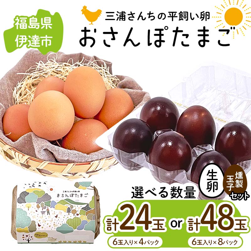 【ふるさと納税】 数量が選べる 三浦さんちの平飼い卵 おさんぽたまご(生卵と燻製玉子セット) 生卵18玉入り・燻製玉子6玉入り(計24玉) /生卵24玉入り・燻製玉子24玉入り(計48玉) 伊達市 福島県 国産 養鶏場直送 卵 たまご 玉子 生卵 鶏卵 燻製たまご F20C-955var