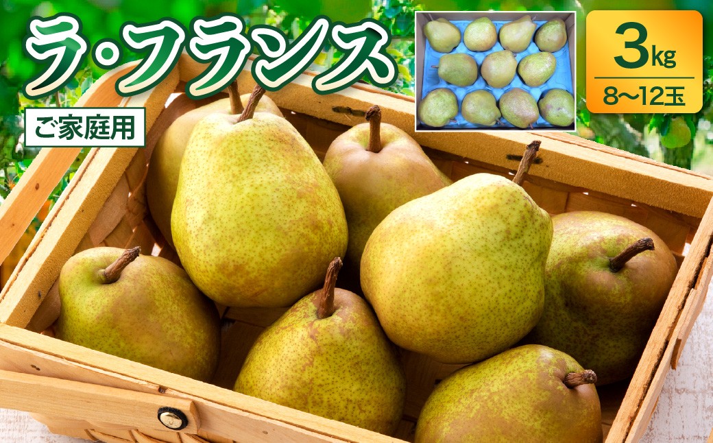 
                  西洋梨（ラ・フランス）３ｋｇ　ご家庭用　0017-2615
                
