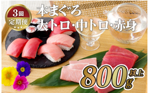 [A137p］ 【全3回定期便 総計2.4kg】本マグロ (大トロ・中トロ・赤身) 計800g以上 長崎県産 海鮮丼のタレ付き【本家永松家】マグロ まぐろ 鮪 大とろ 中とろ 赤身 刺身 海鮮丼 定期