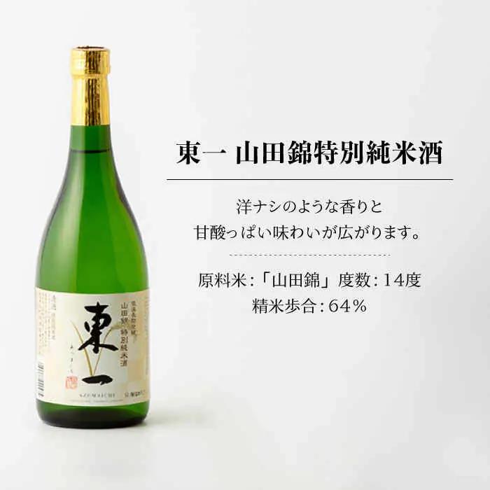 日本酒 東一 日本酒飲み比べ2種 NBQ002 