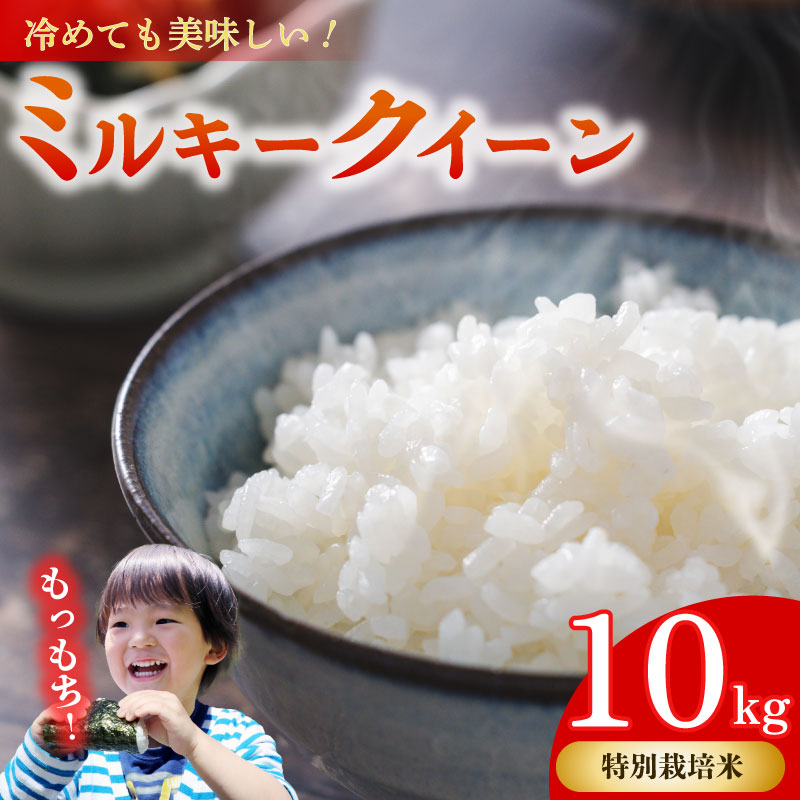 ミルキークイーン 10kg 無洗米 【特別栽培米】お米 米 白米 みるきーくいーん おこめ こめ 精米 ご飯ごはん おいしい 国産 日用品 日常 便利 甘い おこめ 米 お米 白ご飯 ごはん ご飯 お米 5kg 米 人気 お米 米 こめ おこめ 贈答 プレゼント 食品 お弁当 ご飯 日本 安心 農家直送 産地直送 山本耕業 こめ香 静岡県 牧之原市