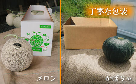 【定期便全2回 夏秋リレー】[2026年7～10月発送] 北海道富良野産 特秀品メロン 2kg1玉×1箱 ＆ 坊ちゃん かぼちゃ 5kg×1箱｜北海道 富良野市 高糖度 メロン 小玉かぼちゃ 濃厚 野