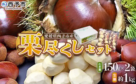 ＜栗尽くしセット（むき栗150g×2袋・生栗1kg）愛媛県西予市産＞ くり 生栗 剥き栗 フルーツ マロン モンブラン 家庭用 栗ご飯 栗きんとん 栗の甘露煮 秋の味覚 特産品 国産 宇都宮物産 愛媛県 西予市【冷蔵】『2025年9月中旬～10月下旬迄に順次出荷予定』