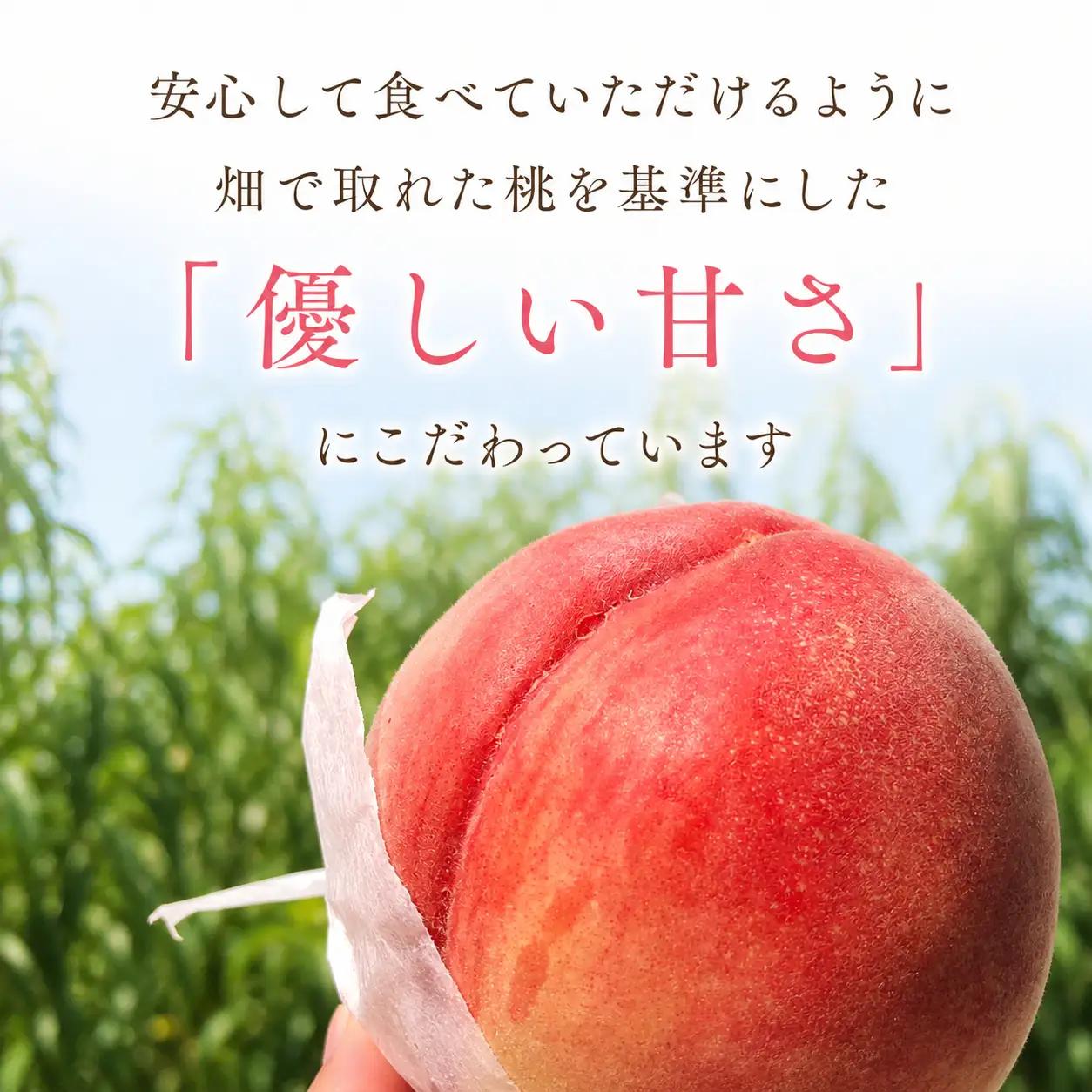 ジェラート 桃 4個セット 食べ比べ ミチカケ製菓店 ジェラート