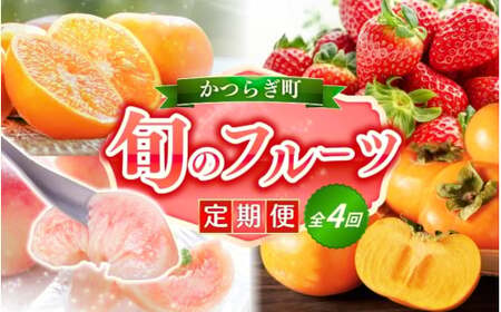 フルーツ 定期便 フルーツ 4回 果物 和歌山【kgr025】