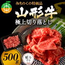 【ふるさと納税】みちのくの特級品『山形牛極上切り落とし 500g』 ブランド牛 和牛 国産 牛肉 サシ 高級 贅沢 F4A-0091