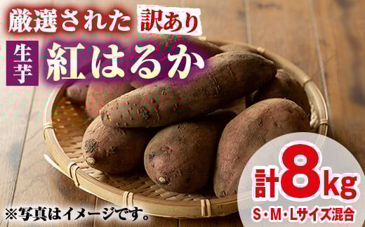 
            【0135922a】＜訳あり＞物産館おすすめ！厳選された紅はるか(生芋・計8kg) 生芋 焼芋 焼き芋 やきいも さつまいも さつま芋 スイーツ 期間限定 【東串良物産館ルピノンの里】
          