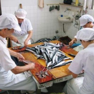 ふるさと納税 南あわじ市 さんまみりん干し16枚　自家製の品! |  | 01