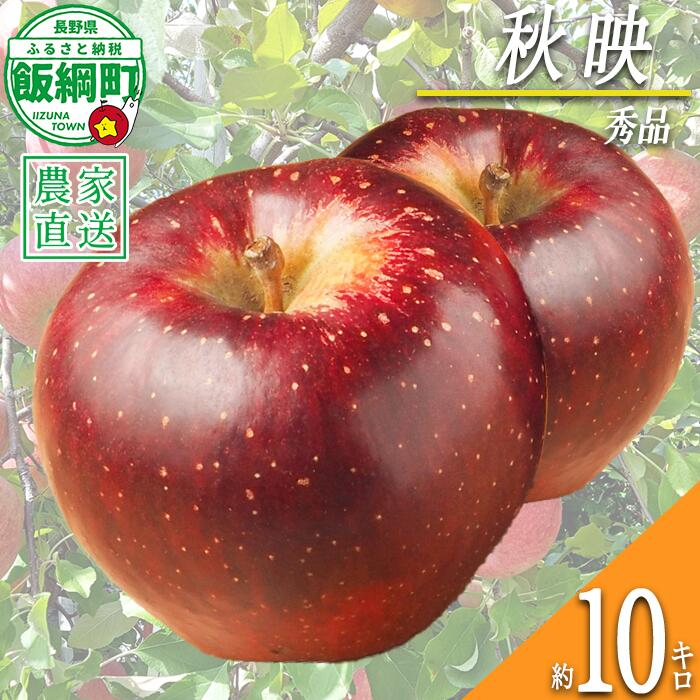 【ふるさと納税】 りんご 秋映 秀 10kg 光センサー選別品 ながの農業協同組合 令和8年度収穫分 長野県 飯綱町 〔 信州 果物 フルーツ リンゴ 林檎 長野 予約 〕発送時期：2026年10月上旬〜2026年10月下旬 {***}