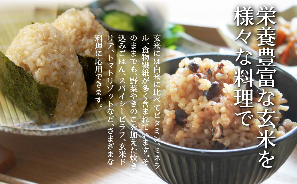 【新米】【令和7年産米】【6ヶ月定期配送】（玄米12kg）ホクレンゆめぴりか（3kg×4袋） SBTD178