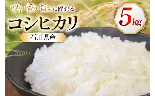 米 令和7年産 石川県産 コシヒカリ 5kg x 1袋 [農事組合法人かさの郷 石川県 津幡町 tb17bgj610003] お米 こめ おこめ こしひかり ご飯 ごはん ゴハン 精米 白米 kome 令和7年