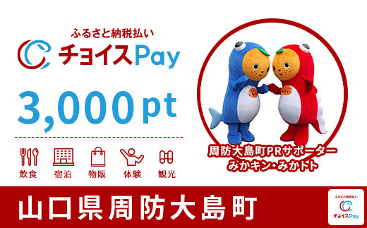 
周防大島町チョイスPay 3,000pt（1pt＝1円）【会員限定のお礼の品】
