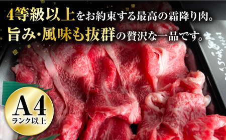 【訳あり】【日本一の和牛】長崎和牛 出島ばらいろ 肩ロース バラ 切り落とし 計400g 【合同会社　肉のマルシン】[RCI021]