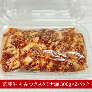 【数量限定】イチオシ！！常陸牛やみつきスタミナ焼600g(MJ-2)