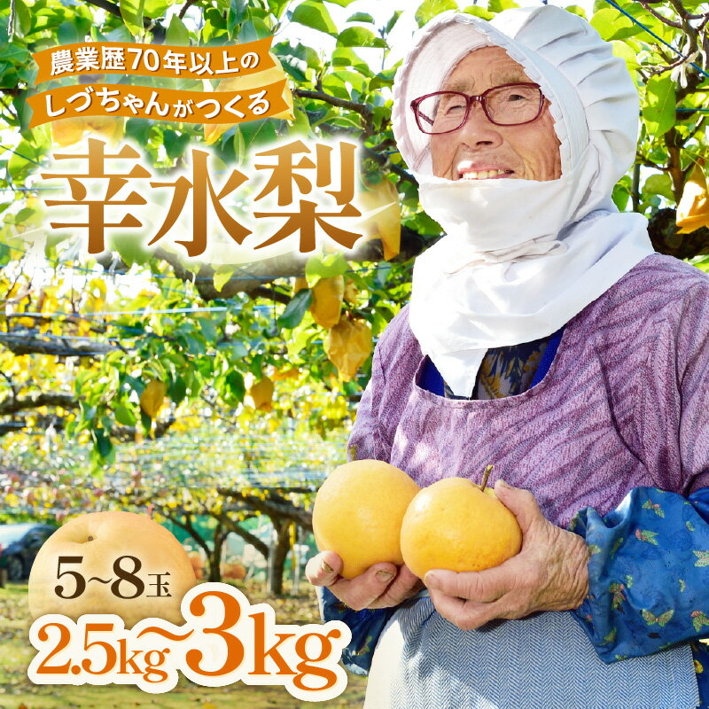 【ふるさと納税】【先行予約】しづちゃんが作る 幸水梨 5～8玉入（2.5～3kg）農業歴70年以上！お届け / なし 果物 旬 フルーツ 甘い ジューシー 果汁 くだもの シャキシャキ 人気 完熟 もぎたて みずみずしい 越前梨 送料無料 福井 あわら市 ※2026年8月中旬以降順次発送予定