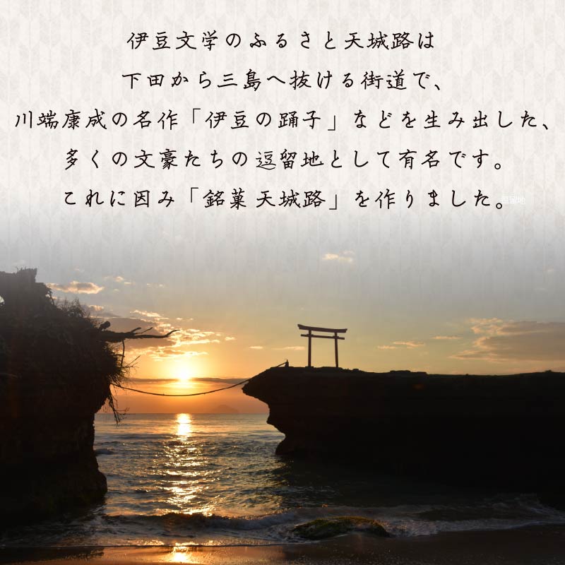 【平井製菓】創業以来人気“下田天城路詰合せ”