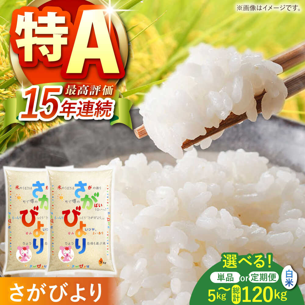 【ふるさと納税】 白米 令和7年産 さがびより 5kg / 10kg（5kg×2袋）【株式会社 JA食糧さが】 [HCM001] / お米 ごはん 白米 精米 ブランド米 お取り寄せ 国産 佐賀県 江北町 九州 米 お米 おいしい ランキング 人気 国産 佐賀県産 単品 定期便
