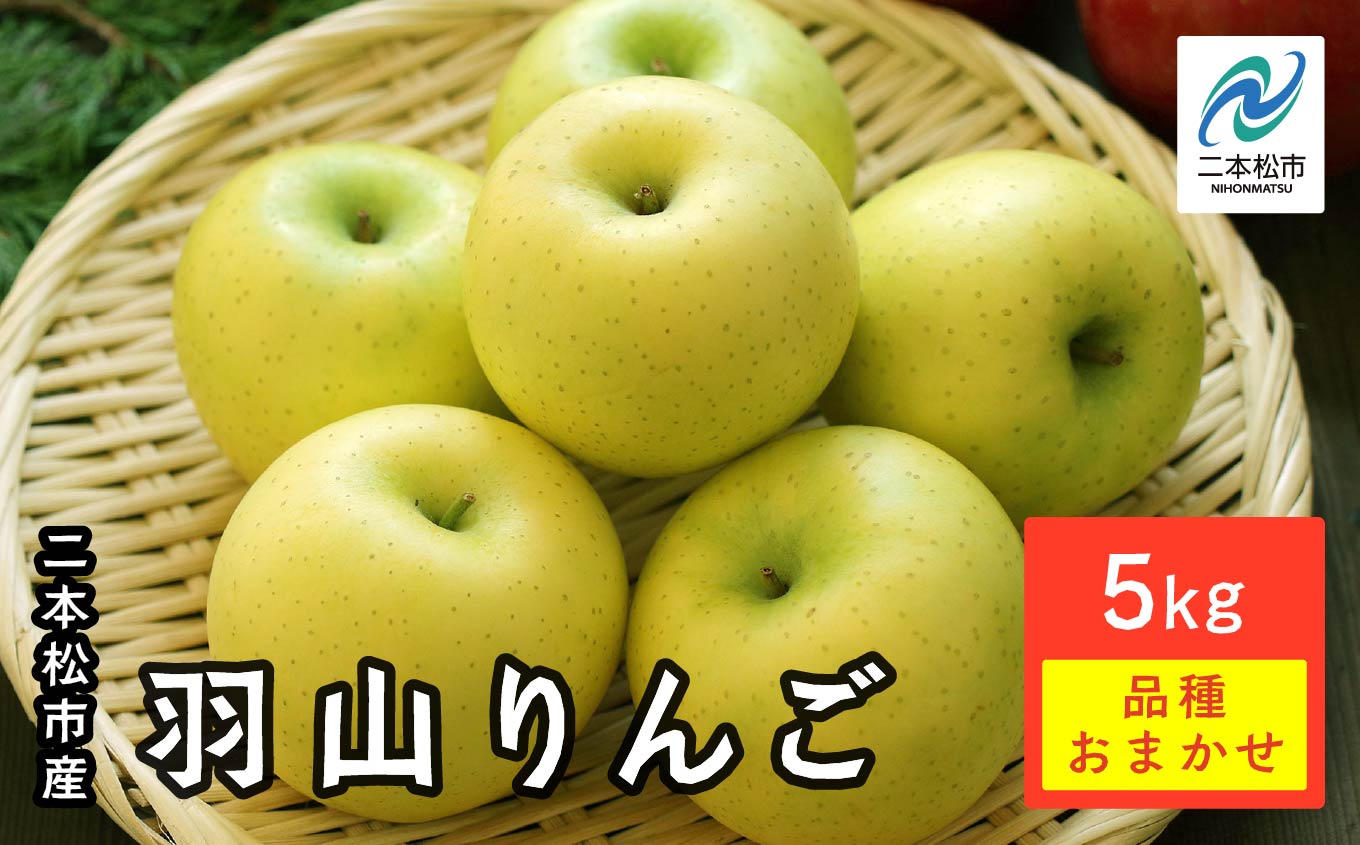 《2025年11月中旬以降発送》羽山りんご 品種おまかせ(中早生)5kg 【羽山果樹組合】