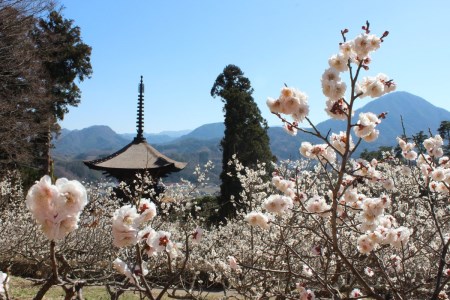 ふるさと納税限定ご朱印帳～大法寺・国宝のある景色