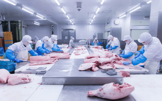 【 6ヶ月連続お届け 】国産豚肉 こま切れ 1.5kg （ 500g × 3パック / 小分け 真空包装 ）【 下妻工場直送 】【 国産 豚肉 こま切れ 豚 料理 豚こま 豚肉 小分け 定期便 便利 