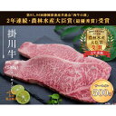 【ふるさと納税】牛肉 掛川牛 和牛「 サーロイン 」500g（250g×2枚）〔 国産 黒毛 静岡 掛川 遠山畜産 〕