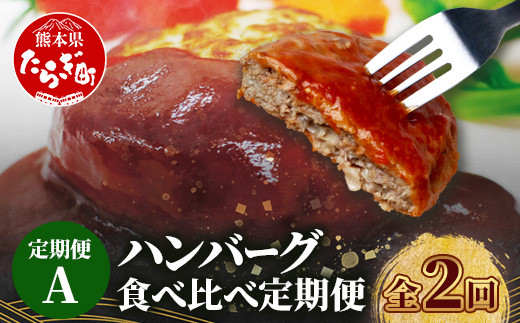【定期便2回】 人気 ハンバーグ 食べ比べ 定期便 A《 自家製豆腐のハンバーグ 15個／ 4種ソースのレンチンバーグ 8個》  バラエティ 定期便 豆腐 肉 温めるだけ 熊本県産 092-0024