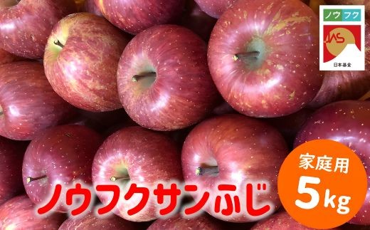 WF10　ノウフクサンふじ 家庭用 約5kg / 2026年11月下旬～12月下旬ごろ配送予定 // 長野県 南信州 松川町産 JAS認証 りんご リンゴ 林檎 ノウフク 農福連携 サンふじ ふじ 家庭用 自家用