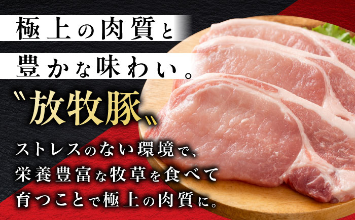 【衣付き】放牧豚 とんかつ用豚肉 5枚【GOODGOOD株式会社】 豚肉 とんかつ 豚カツ 簡単調理 個包装 精肉 冷凍配送 北海道 [AXBP002]