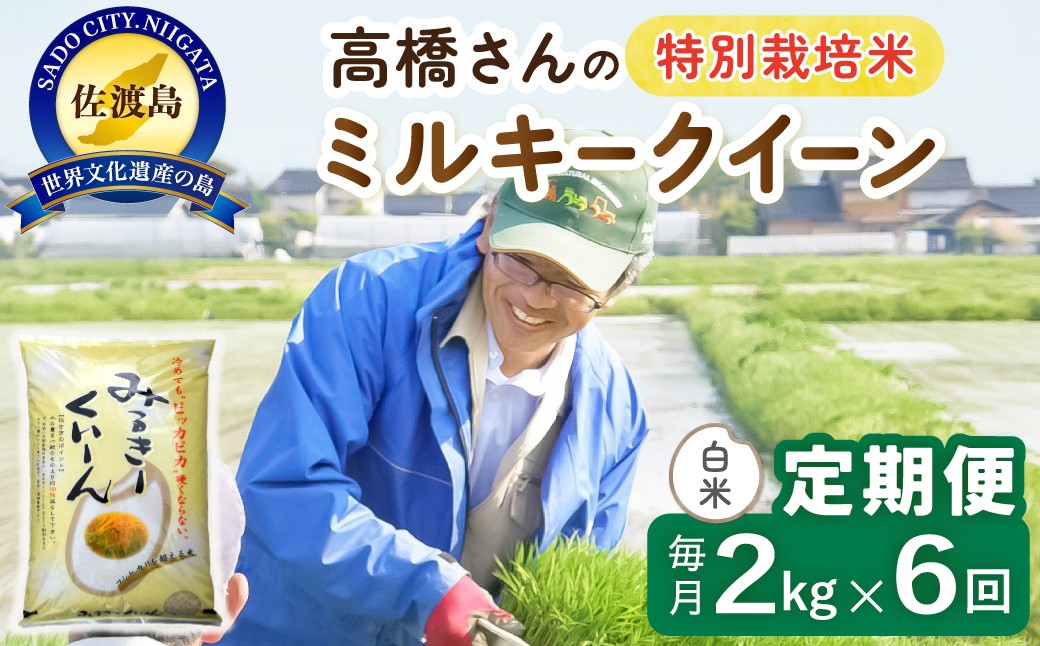 
                  【6か月定期便 ミルキークイーン】佐渡島産ミルキークイーン 白米 合計12kg（2kg×毎月お届け全6回）令和8年産 新米 特別栽培米 | 新潟県産ミルキークイーン 新潟産ミルキークイーン 佐渡産ミルキークイーン みるきーくいーん お米 米 白米 精米 ブランド米 おこめ コメ 2キロ 少量 にいがた さど 新潟県 佐渡市
                