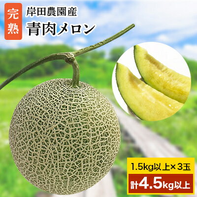 【ふるさと納税】【2025年夏発送】岸田農園産 青肉メロン 3玉入り(サイズ:1玉1.5kg以上)【205】【1087005】