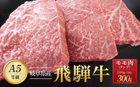 飛騨牛「希少部位」Ａ5 ランプ ステーキ用 300ｇ｜国産 肉 牛肉 焼肉 和牛 黒毛和牛 グルメ おすすめ ブランド AD104【飛騨牛 和牛ブランド 希少部位 飛騨牛 黒毛和牛 飛騨牛 岐阜 大野町 飛騨牛 牛肉 国産和牛 和牛 飛騨牛 肉 ランプ 焼肉】