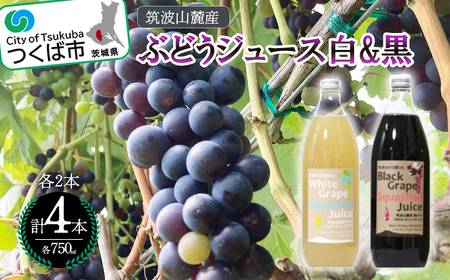 つくば市 筑波山麓産ぶどうジュース4本セット(白&黒 各2本) ビーズニーズヴィンヤー ズ【 ぶどうジュース 葡萄ジュース 茨城県ぶどうジュース つくば市ぶどうジュース おすすめぶどうジュース 】