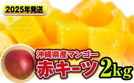 【2025年発送】南国の果物　沖縄県産マンゴー　赤キーツ　2kg
