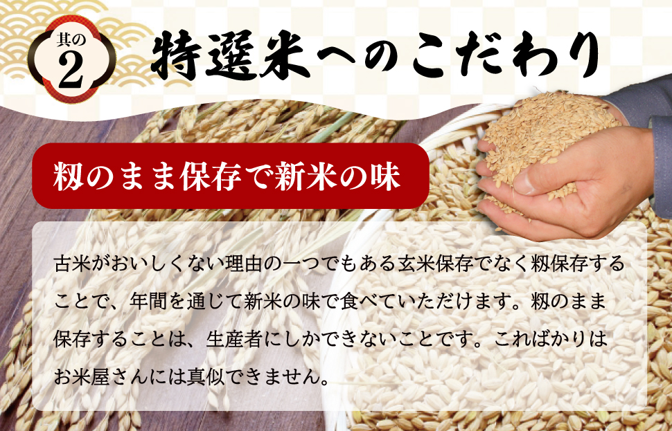 (有)松幸農産 特選米 20kg セット コシヒカリ お米 おこめ 三重県産 送料無料 5kg×4袋 小分け 冷めてもおいしい ふるさと納税 ふるさと 米 コメ こめ ギフト プレゼント 人気 お取り