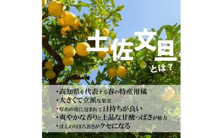 【先行予約】【訳あり】土佐文旦 大玉 訳あり 約10kg（3Lから2Lいずれかのサイズ）〈2027年2月中旬から3月下旬頃発送〉高知県土佐市 【株式会社SHIRAKI】 [BQAI058]