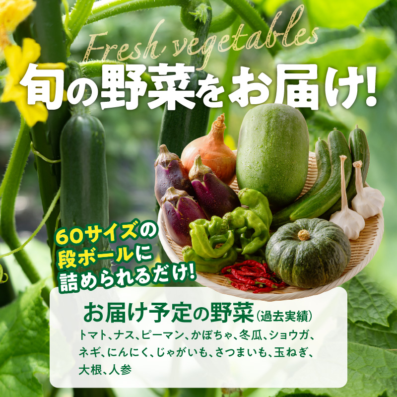 ★障がい者支援施設応援品★ ネオコスモ農園で採れた小牧の野菜詰め合わせ ［124N02］