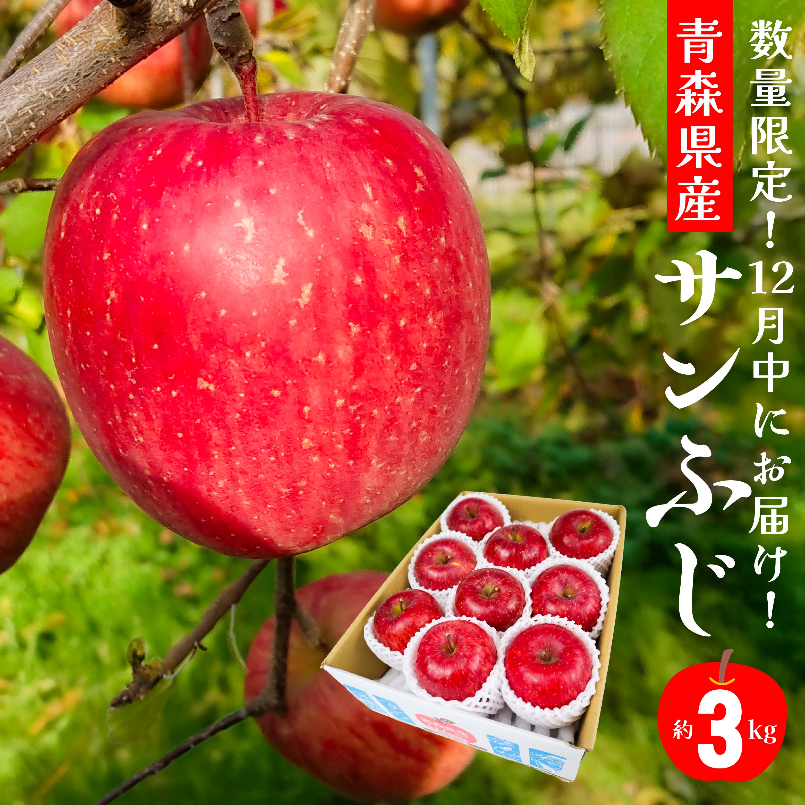 【ふるさと納税】12月中にお届け！ 青森県産 サンふじ りんご 3kg 林檎 果物 フルーツ 年内配送 家庭用 贈答用 送料無料