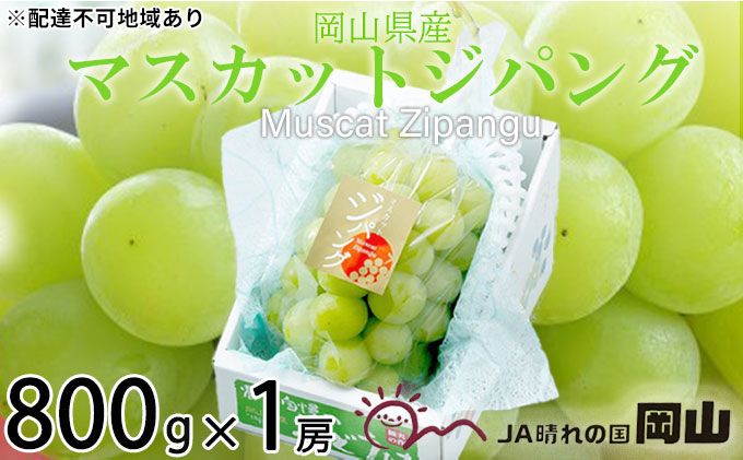ぶどう 2025年 先行予約 マスカット ジパング 約800g×1房 ブドウ 葡萄  岡山県産 国産 フルーツ 果物 ギフト 岡山のぶどう デザート 食後 大粒 種無し 皮ごと 甘みが強い 後味さっぱり 