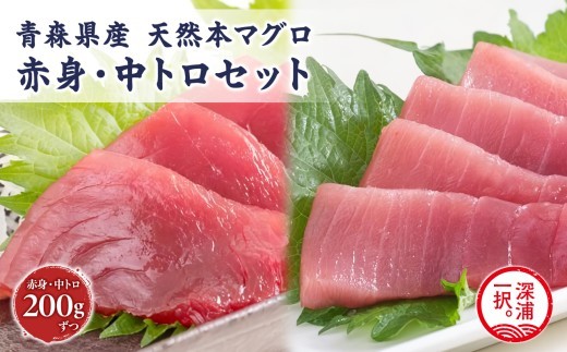 天然本マグロ 深浦マグロ 赤身 中トロ 2種セット 冷凍柵 刺身 海鮮 鮪 まぐろ 青森県深浦町産